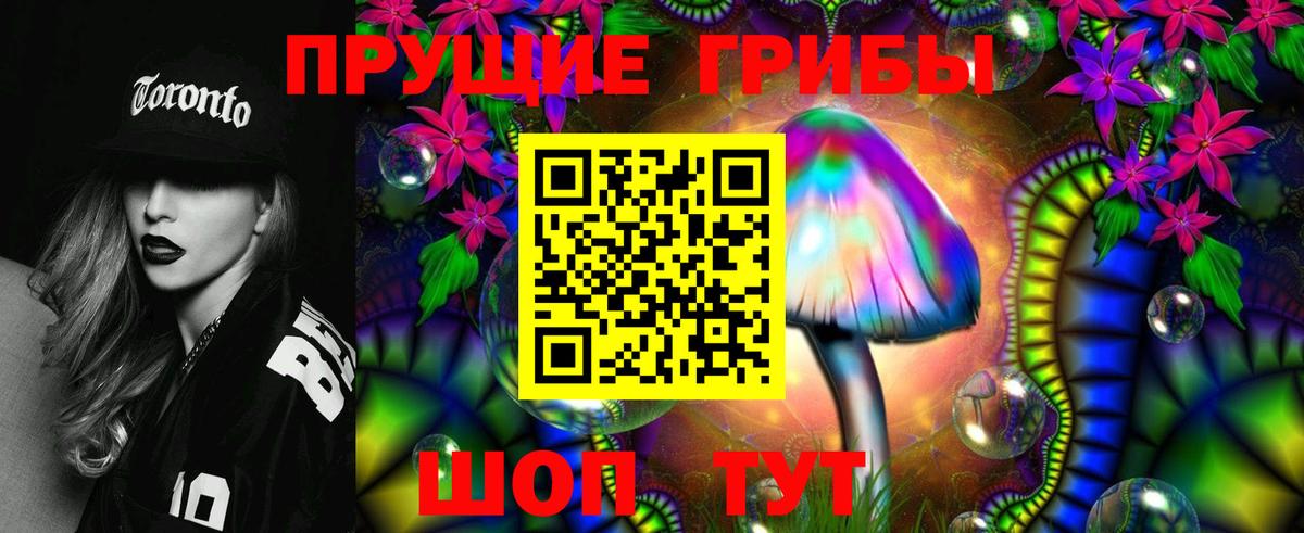 Железногорск  Псилоцибиновые грибы ЛСД  Галлюциногенные грибы Psilocybe  Вход с VPN 